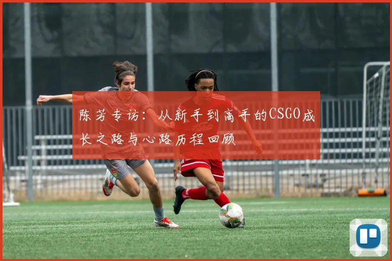 陈芳专访：从新手到高手的CSGO成长之路与心路历程回顾