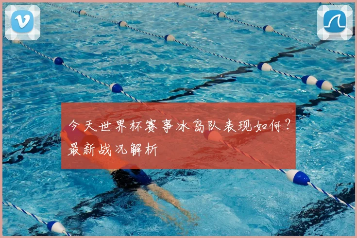 今天世界杯赛事冰岛队表现如何？最新战况解析