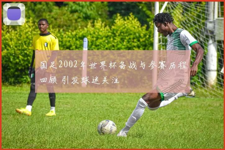 国足2002年世界杯备战与参赛历程回顾 引发球迷关注
