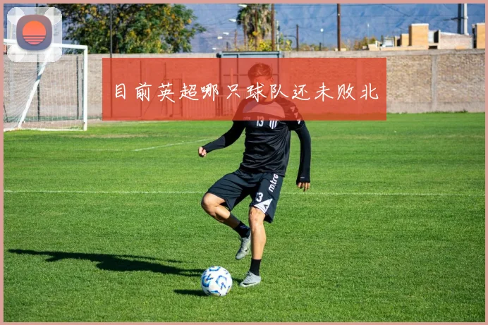 目前英超哪只球队还未败北