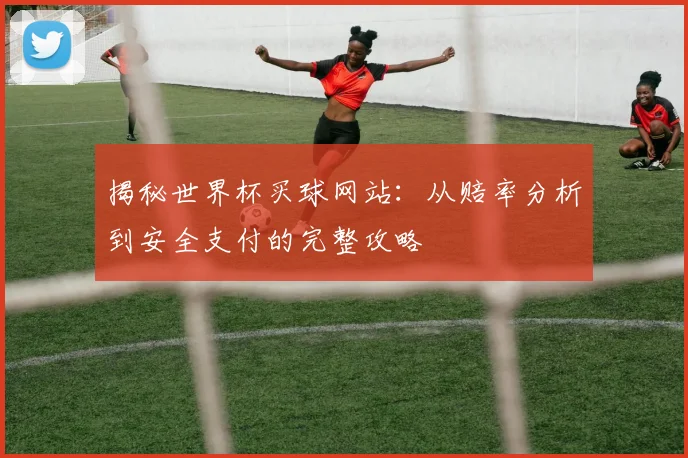 揭秘世界杯买球网站：从赔率分析到安全支付的完整攻略