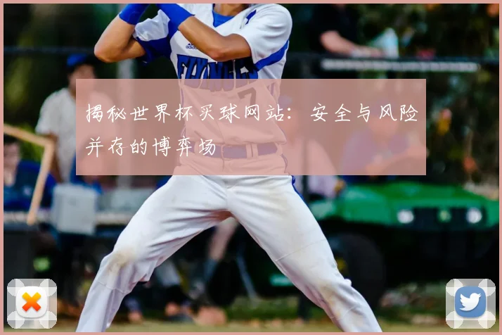 揭秘世界杯买球网站:安全与风险并存的博弈场